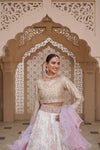 Pakistani Reception & Walima Dresses: Ideas for Brides & Guests